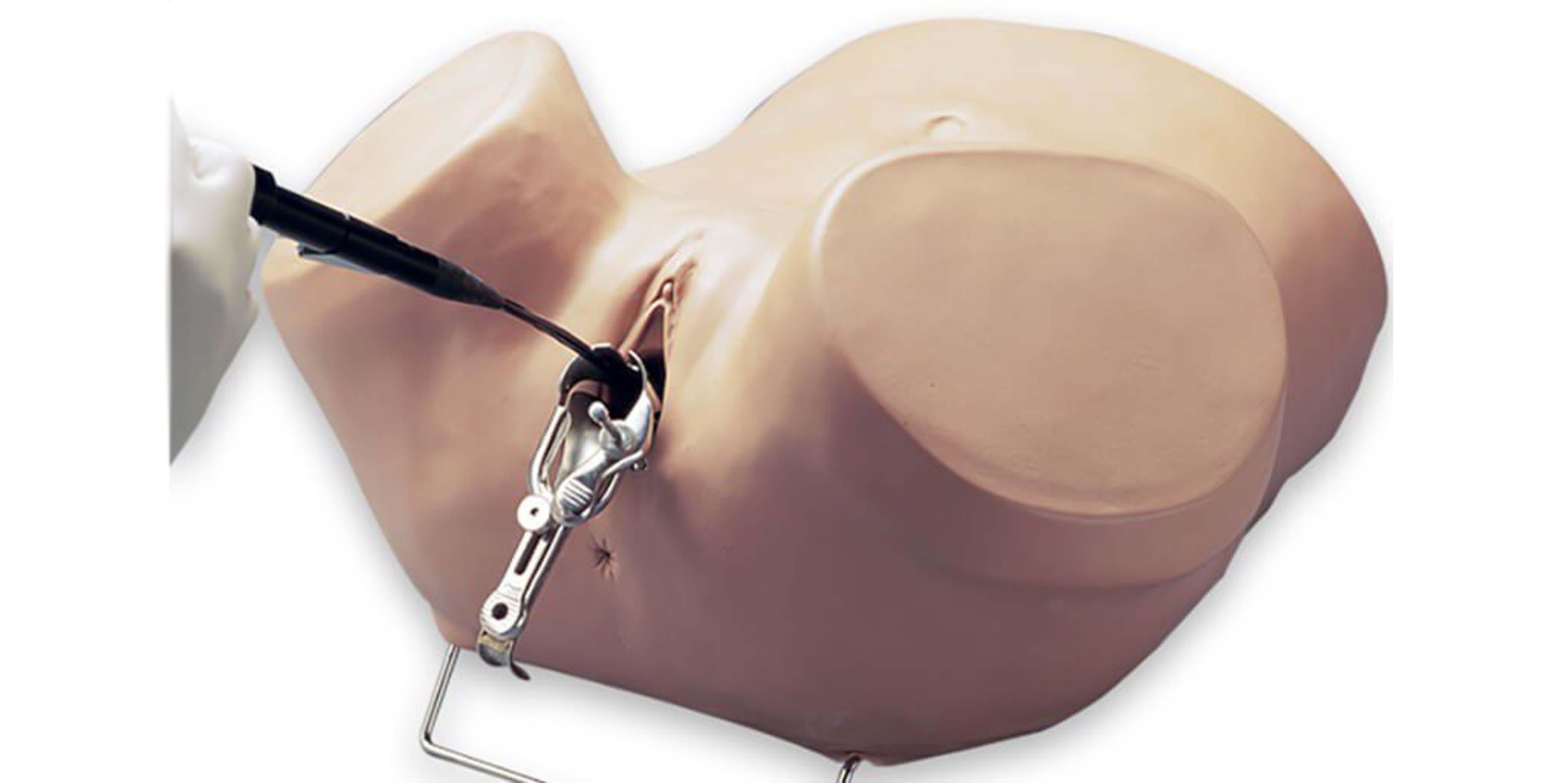 Hysteroscopy Diagnostic Trainer.jpg