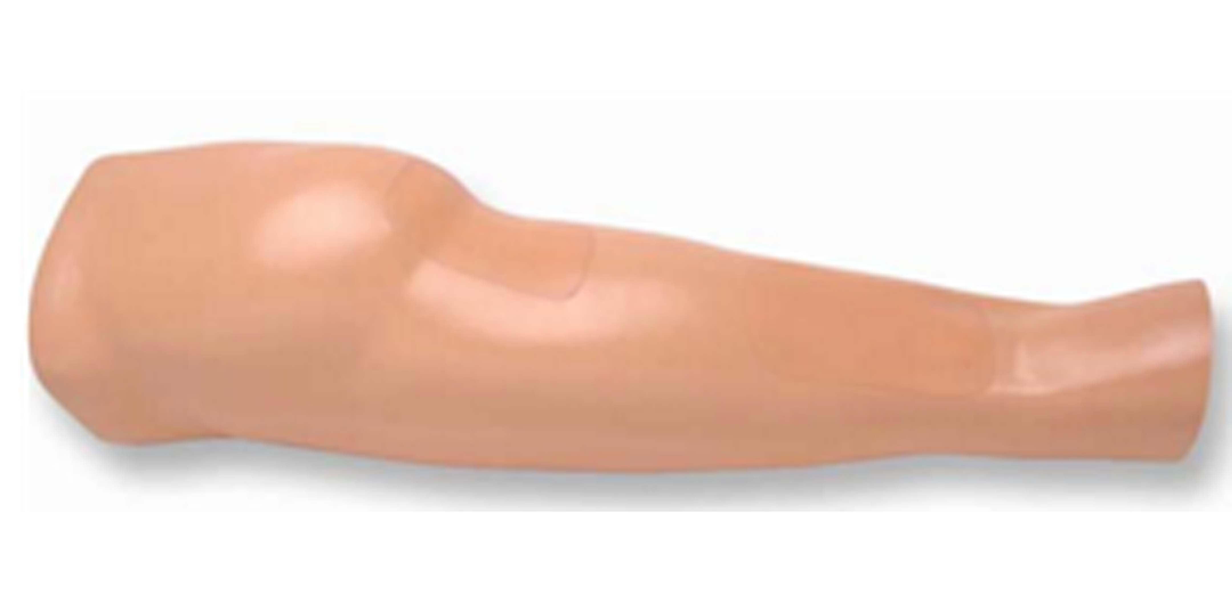 Nerve Block Lower Limb Manikin.jpg