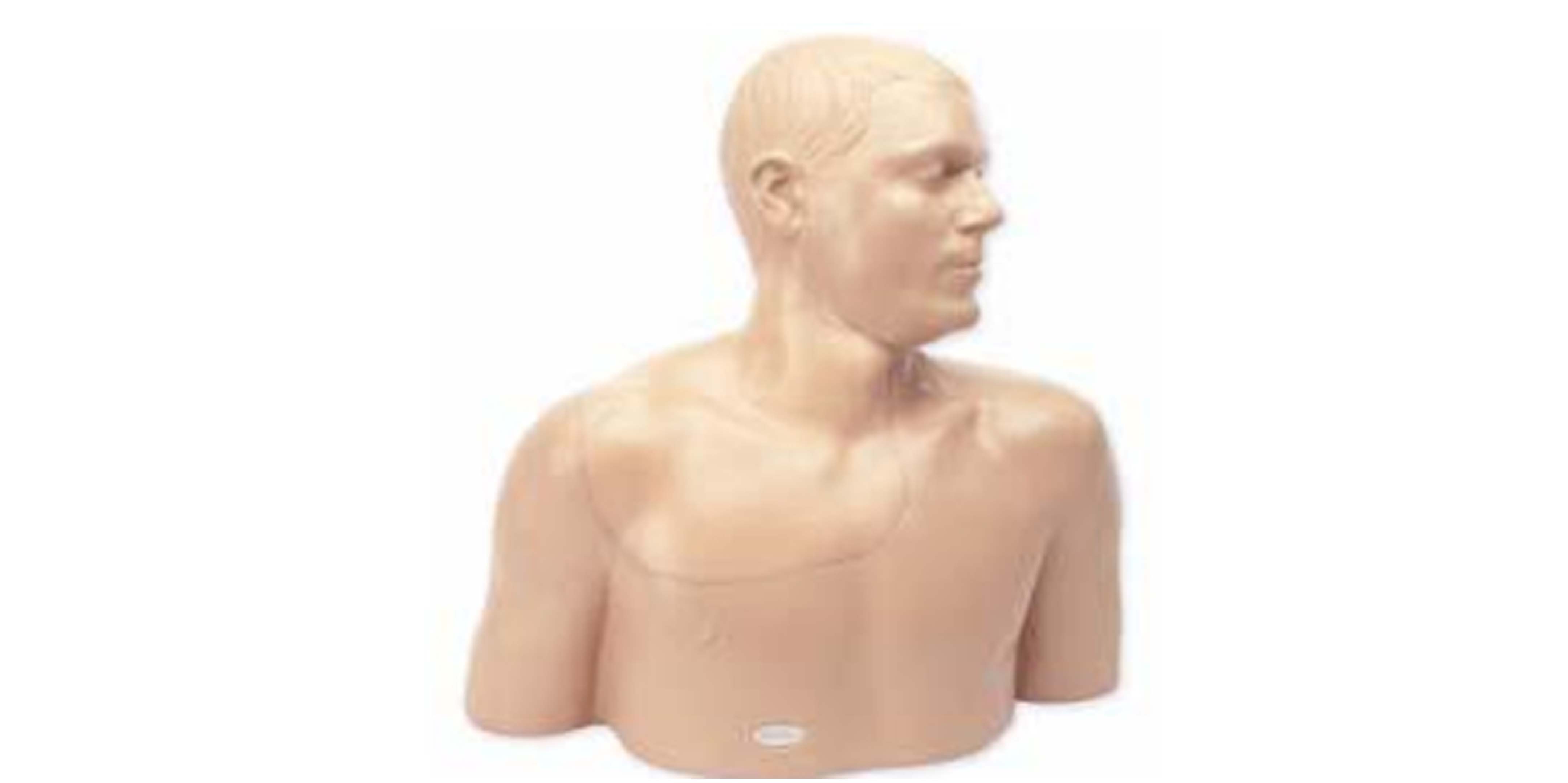 Nerve Block Upper Limb Manikin.jpg