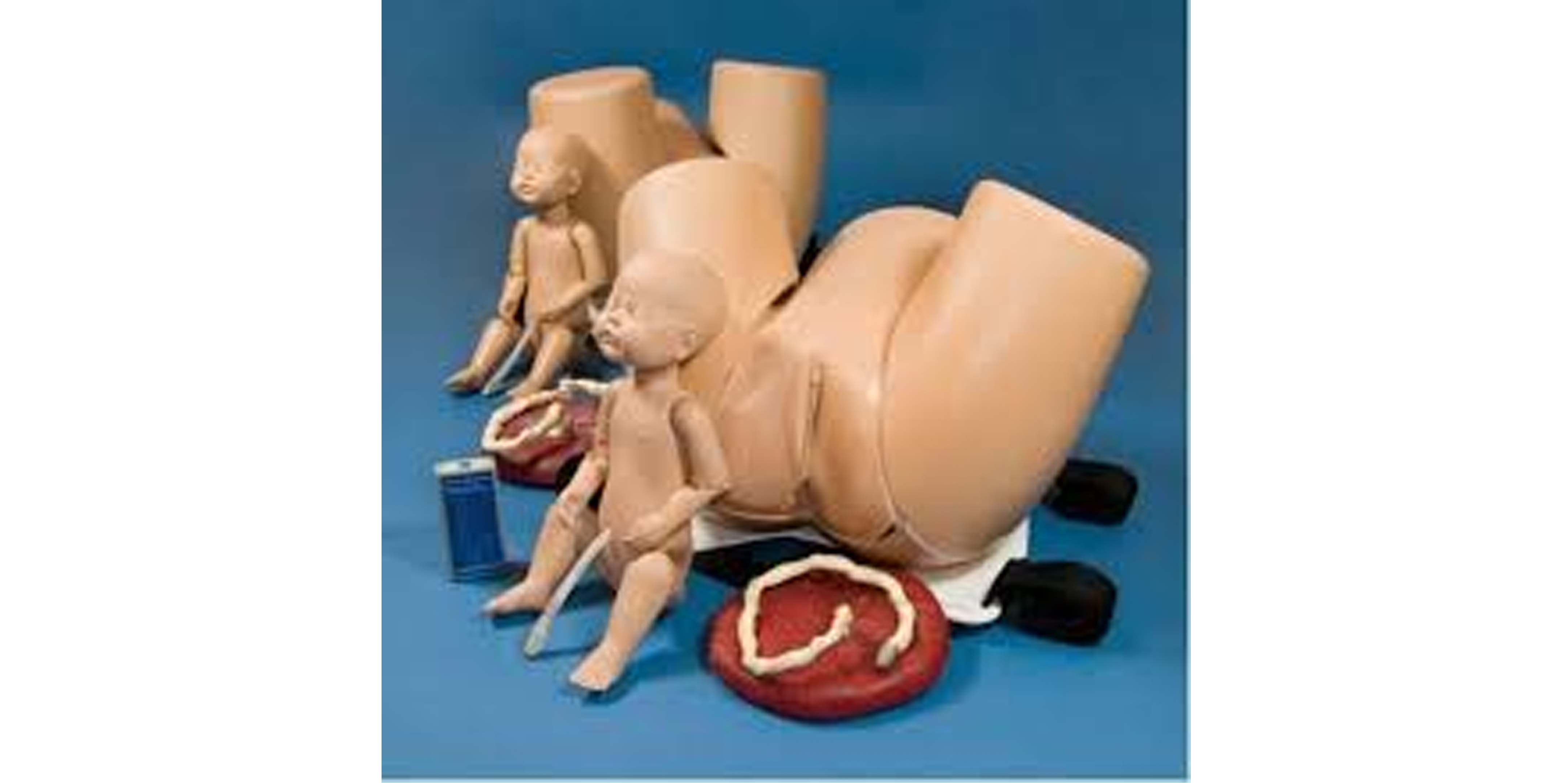 Pelvis Trainer with all accessories.jpg