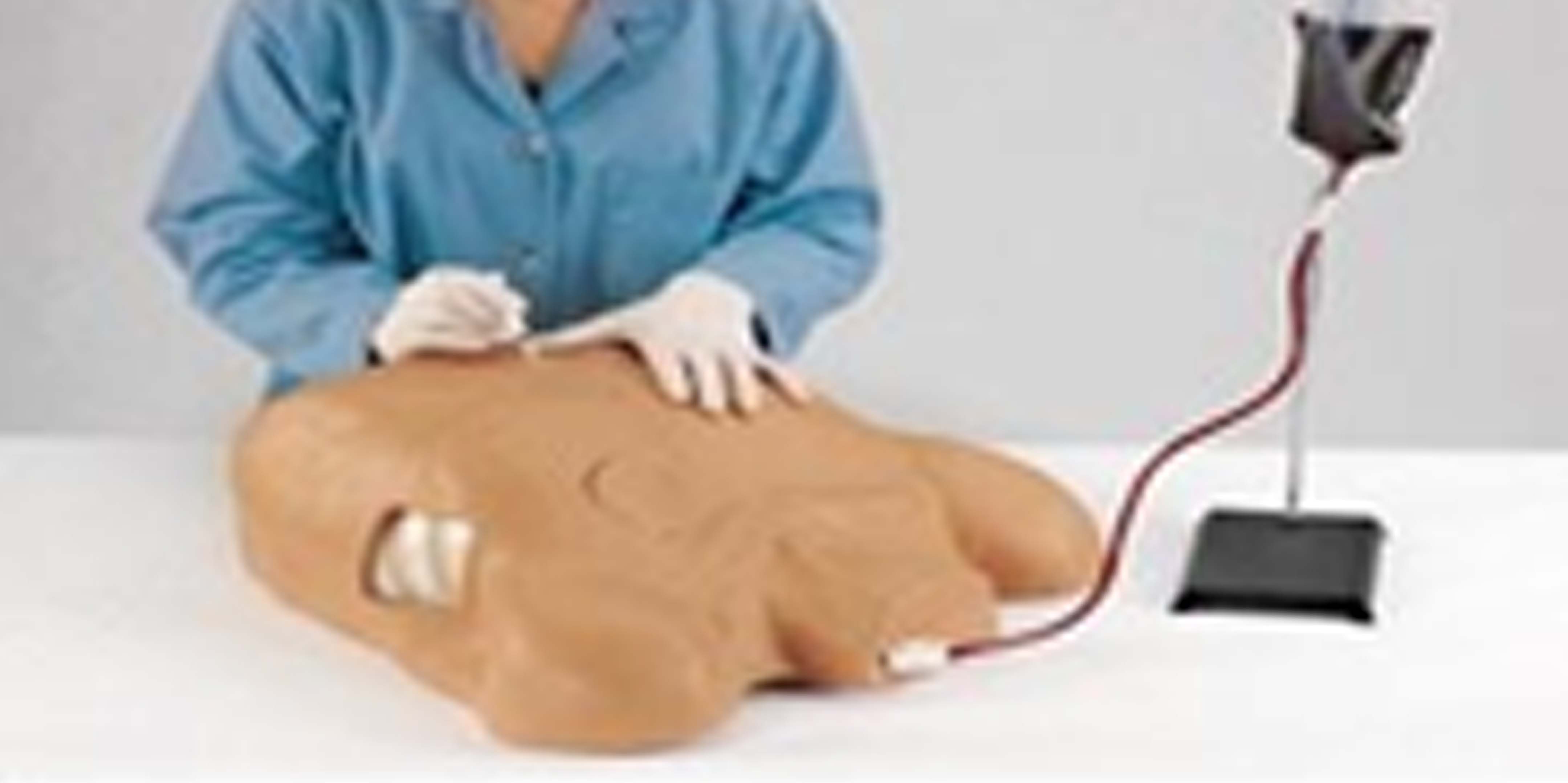 PeriCardio Centesis Simulator, LF03769U.jpg