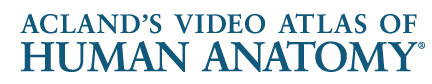 Aclands_logo.png