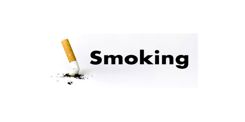 chewing tobacco tier list What are Oliver Twist Tobacco Bits?