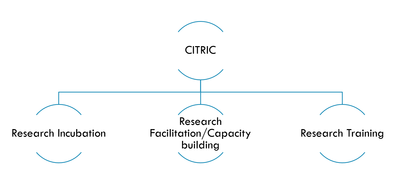 Citric organogram.png